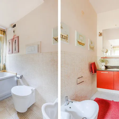 Gatti * 马里纳-迪-皮特拉桑塔