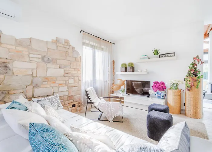 Gatti * Marina di Pietrasanta