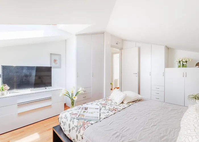 Gatti * Marina di Pietrasanta